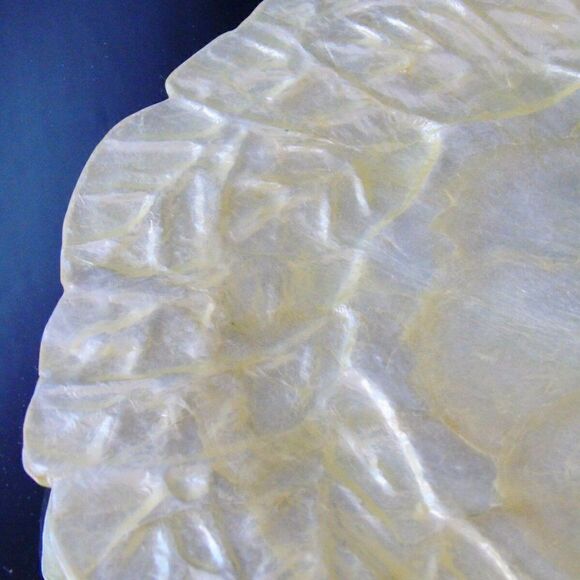 Studio
Nova Mother of Pearl 1 Plate Kappa Shell Serveware - Picture 7 of 9